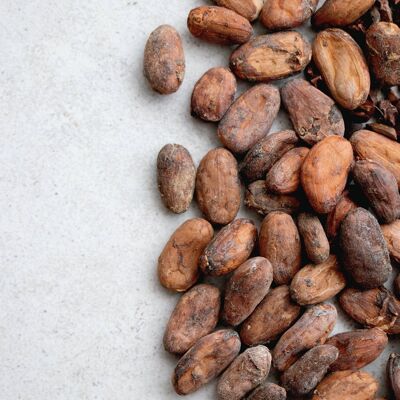 Favoritos de cacao | 150g