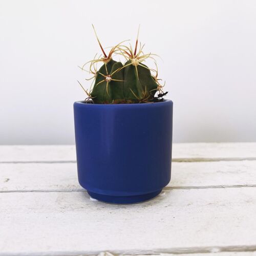 Marrakesh Ultramarine POT ONLY