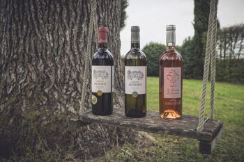 Vins de Bordeaux : Découverte des cuvées de Jouvente (AOC Graves) 2
