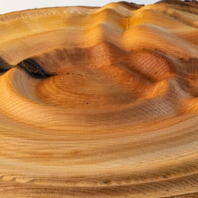 Wave interference on wooden disc