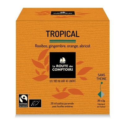 Rooibos TROPICAL - Zenzero, albicocca, arancia - Bustine di tè Pyramid x 20