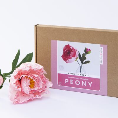 Kit Flores de Papel - Peonía