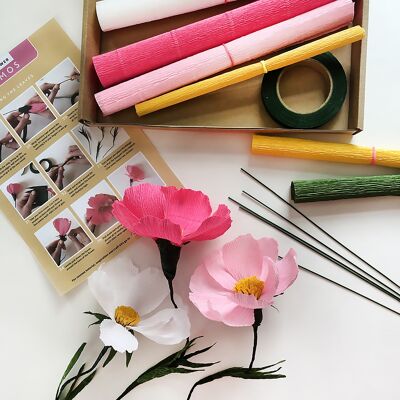 Kit de création de fleurs en papier Cosmos, cadeau créatif pour femme