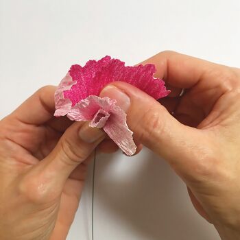Kit de fleurs en papier - Pois de senteur 7