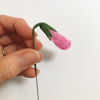 Kit de fleurs en papier - Pois de senteur 10