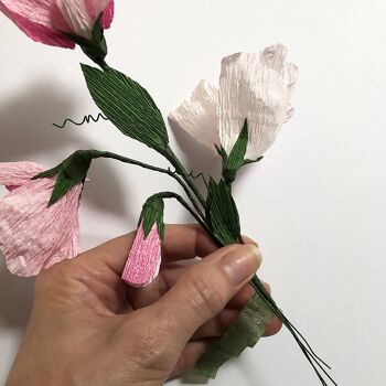 Kit de fleurs en papier - Pois de senteur 11