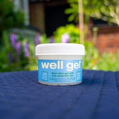 Well Gel Original - 125g