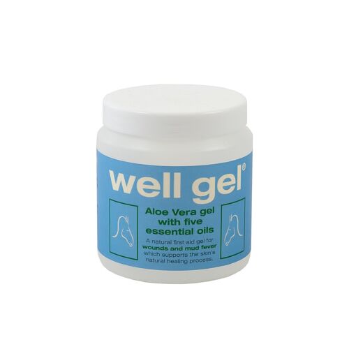 Well Gel Original - 280g