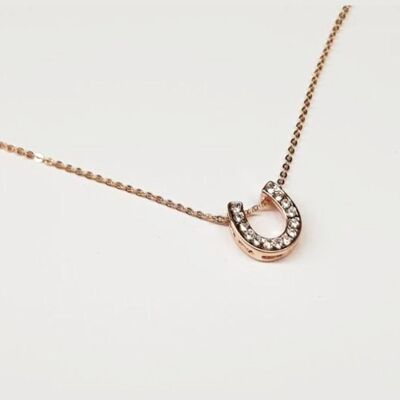 Shiny horseshoe necklace