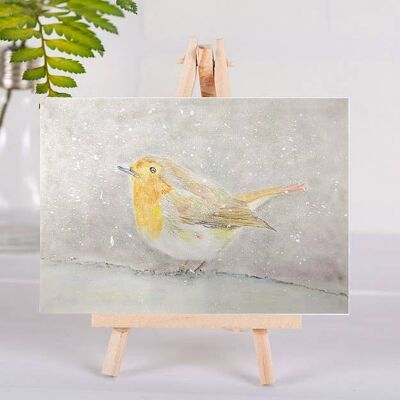 Animal Aura - Robin in Snow - Greetings Card