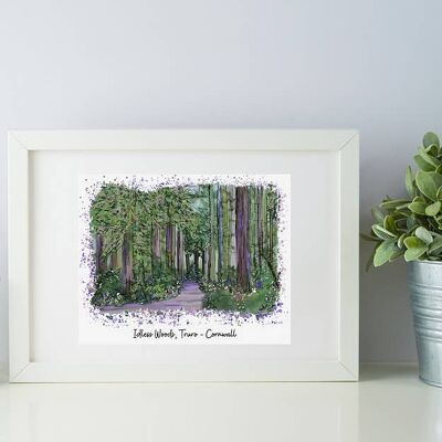 Idless Woods, Cornwall Art Print