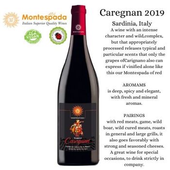 Montespada Sarde Caregnan IGT 75cl Millésime 2019 Vegan 2