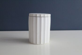 Pot en béton blanc 2