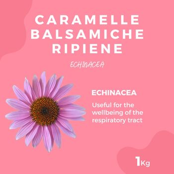 ECHINACEA CARAMELLE AL BALSAMICO - Gola - 1kg 2