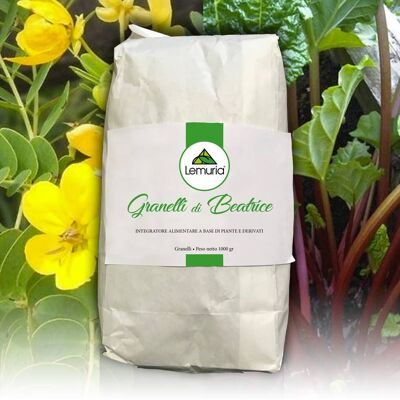 Complément alimentaire pour le bien-être intestinal - BEATRICE'S GRAINS 1kg