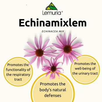 Complément Alimentaire Système Immunitaire - ECHINAMIXLEM Extrait Total - 30 ml 3