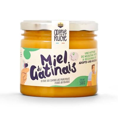 Gatinais honey