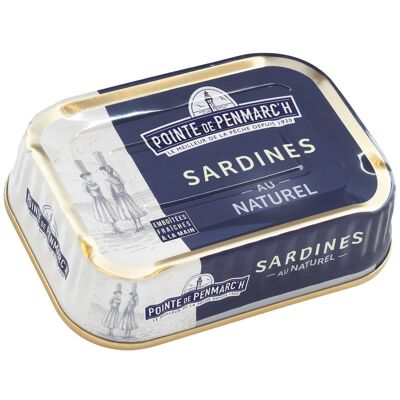 Sardines in brine