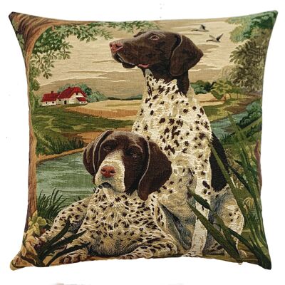 Decorative pillow cover 2 pointers