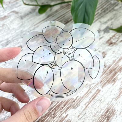 Sun Catcher Sticker - Pilea peperomioides, Houseplant, Urban Jungle, Rainbow, Sun Catcher, Lightbringer, Lightbreaker, Plantlover