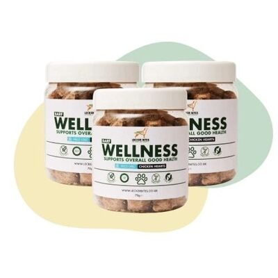 Wellness - Chicken Hearts (SQ2632041) 70g Jar