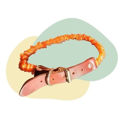 Baltic Amber Collar (SQ8169885)