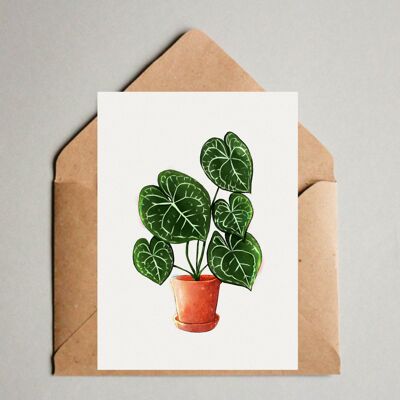 Impresión postal A6, Anthurium Clarinervium, Plantlover, Planta de interior, Hojas tropicales, Ilustración botánica, Jungla urbana