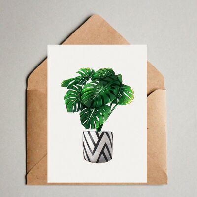 Cartolina A6 stampa, Monstera deliciosa, illustrazione botanica, foglie tropicali, Plantlover