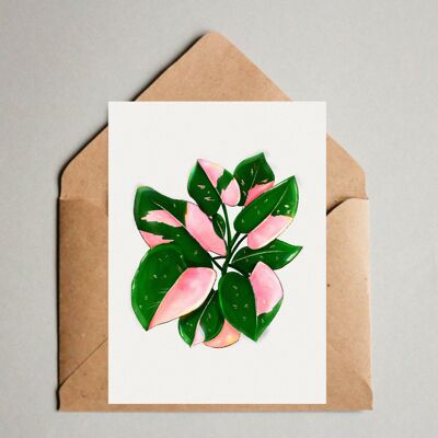 Postcard A6 Print - Philodendron Pink Princess- Plant, Tropical Houseplant, Botanical Illustration