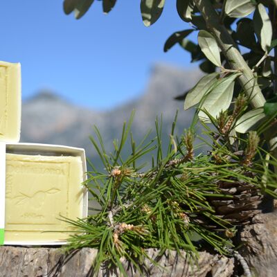 Olive and Pine natural soap