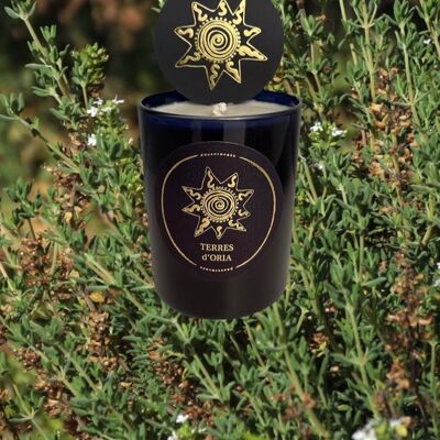 Garrigue candle