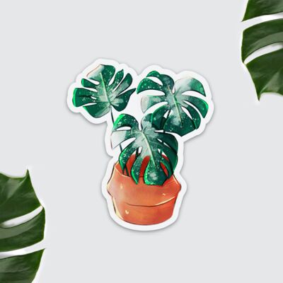Kühlschrankmagnet - Monstera Thai, variegata, Illustration Zimmerpflanze, Illustration Topfpflanze, Urban Jungle