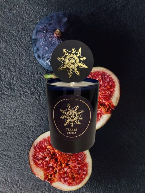 wild fig candle