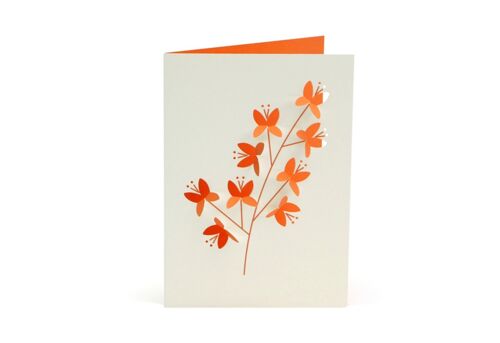 Fold Out Blossom Card