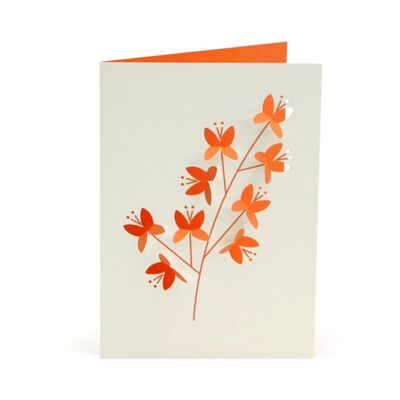 Fold Out Blossom Card