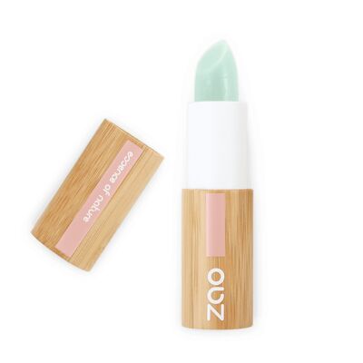 Lip Scrub - 482