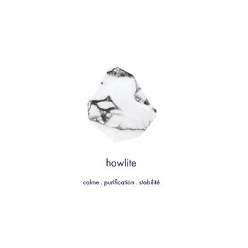 Boucles d'oreilles Pampille - Howlite 3