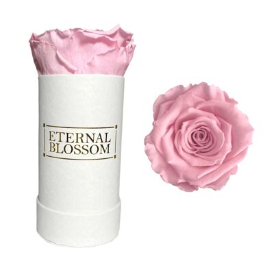 Individual Blossom Box, White Box, Vintage Pink Rose