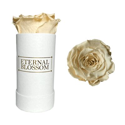 Caja Flor Individual, Caja Blanca, Rosa Champaña Clásica