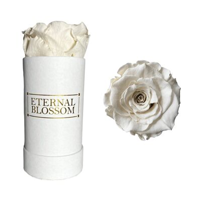 Einzelne Blütenbox, weiße Box, spitze weiße Rose