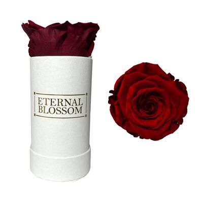 Boite Fleur Individuelle, Boite Blanche, Rose Rouge Rouge