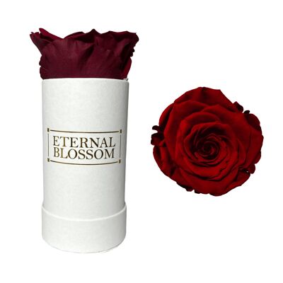 Caja Flor Individual, Caja Blanca, Rosa Roja Roja