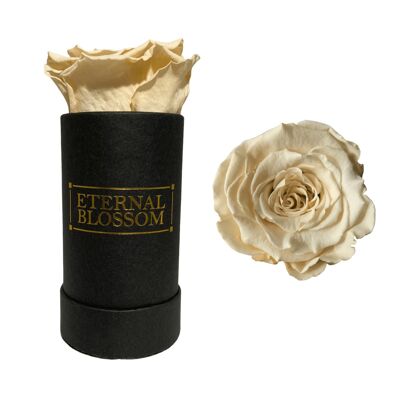 Caja Flor Individual, Caja Negra, Rosa Champaña Clásica