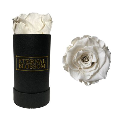 Caja Flor Individual, Caja Negra, Rosa Blanca De Encaje