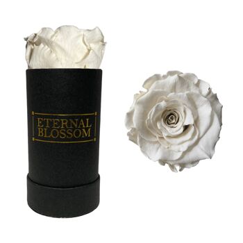 Boite Fleur Individuelle, Boite Noire, Rose Blanche Dentelle