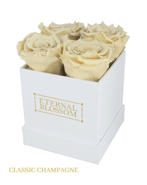 4 Piece Blossom Box, White Box, Classic Champagne Roses