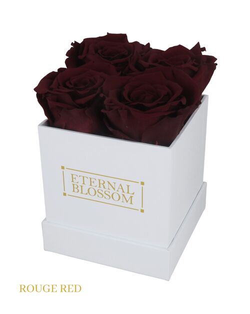 4 Piece Blossom Box, White Box, Rouge Red Roses