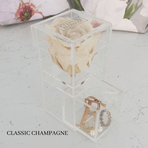 Individual Makeup Box, Classic Champagne Rose