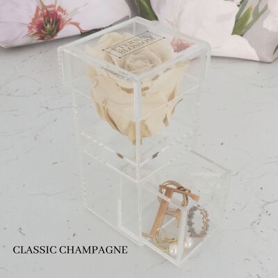 Caja de maquillaje individual, Classic Champagne Rose