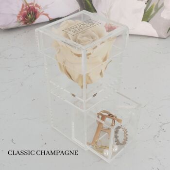 Coffret Maquillage Individuel, Rose Champagne Classique 1